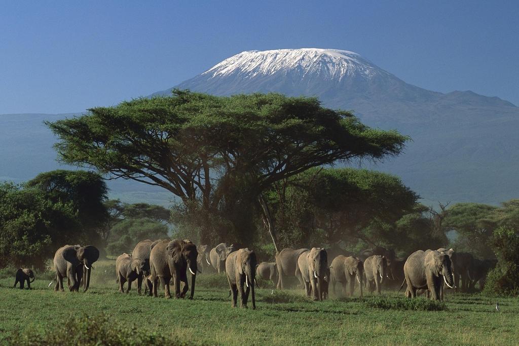 Ol Tukai Lodge Amboseli Exterior photo